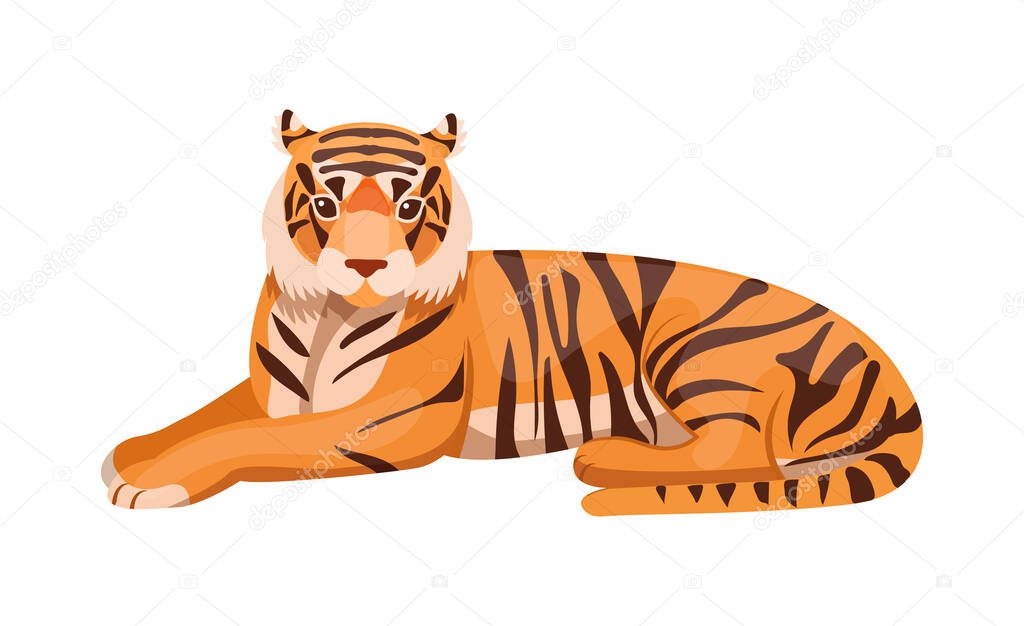 Woodland forest animals. Adult big tiger wildlife Ussurian tiger cartoon flat vector