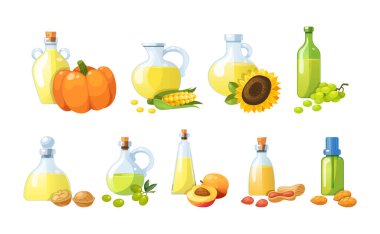 Yenilebilir yağlar. Yemek ve güzellik için sebze yağı pişiriyorum. Ekolojik organik malzemeli şişeler zeytin, kayısı, mısır, üzüm, ceviz, fıstık, ayçiçeği, badem, balkabağı vektör karikatürü.