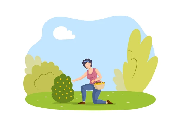 Bahçe Ağacından Mevsimlik Portakal Toplayan Bir Kadın Mutlu Kadın Akrabalar — Stok Vektör