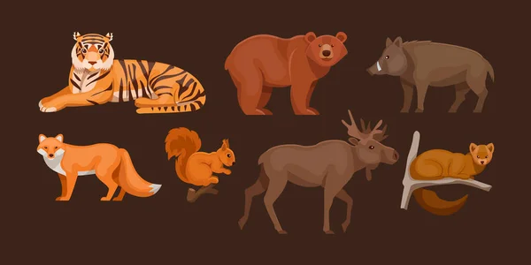 Ensemble Animaux Forestiers Des Bois Mignon Animaux Forêt Sauvage Ours — Image vectorielle