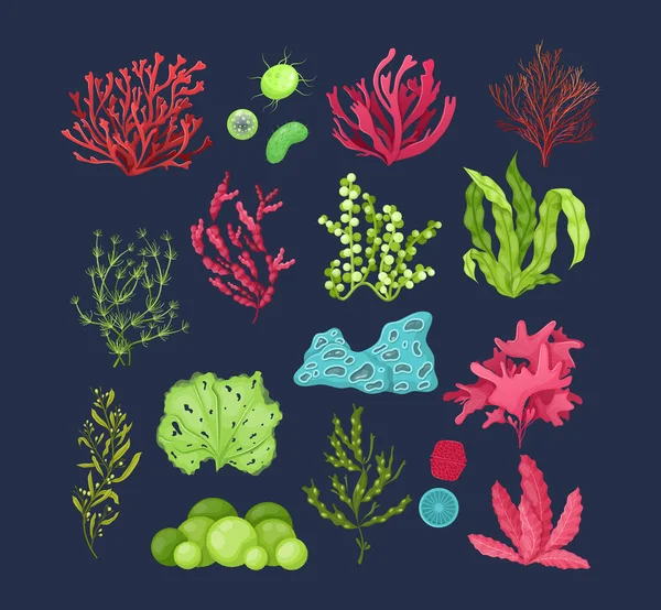 海底海洋植物区系设置 海洋水族植物 水族植物 珊瑚礁水下海藻海洋植物浮游植物 层状动物 海底动物海洋苔藓热带海洋植物病媒 — 图库矢量图片
