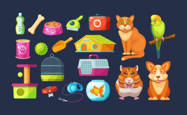 Hayvan maması, aksesuar ve evcil oyuncakları olan bir hayvan mağazası. İçinde papağan, hamster, kedi, köpek olan hayvan dükkânı malzemeleri. Evcil hayvan aksesuarları: Şampuan, kemik, yemek, tasma tasma, ilk yardım çantası, balık çizgi film vektörlü akvaryum