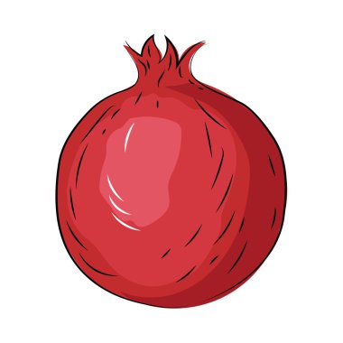 Nar yarım yamalak renkli vektör simgesi