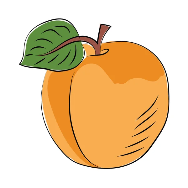 Peach Colored Sketchy Vector Icon — Stock Vector