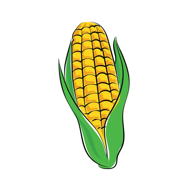 Maïs gekleurde schetsmatig vector pictogram — Stockvector