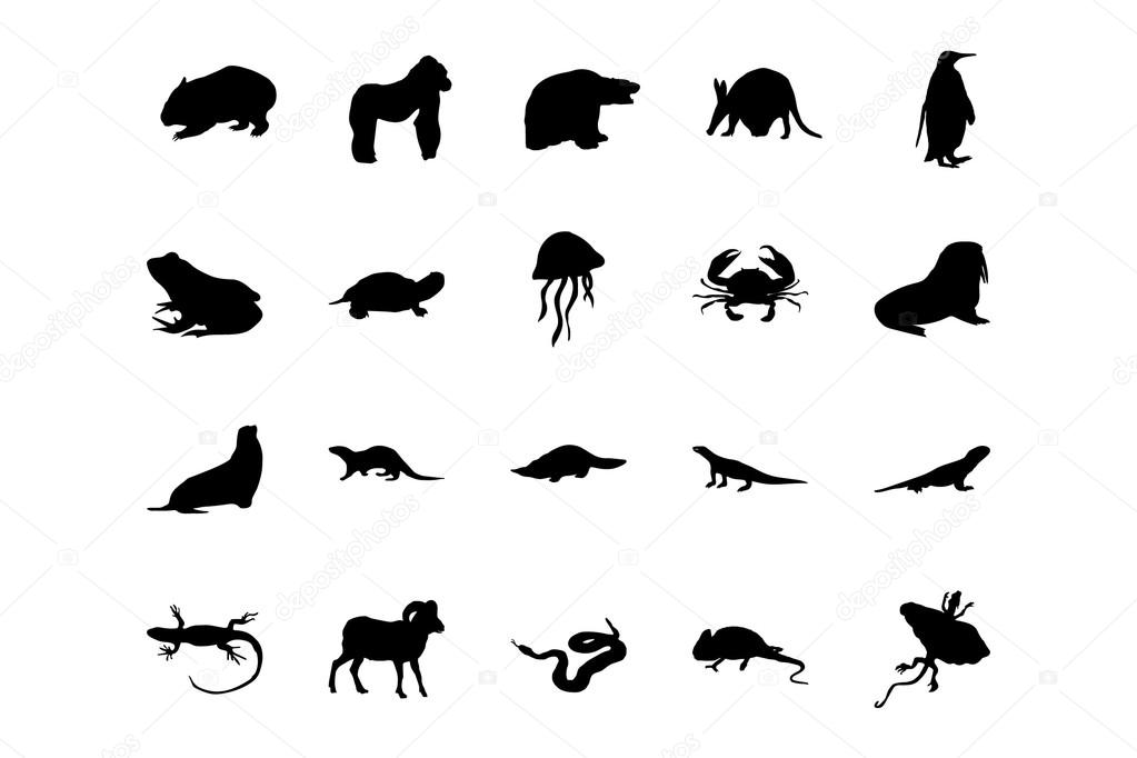Animal Vector Icons 4