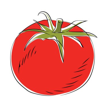 domates yarım yamalak renkli vektör simgesi