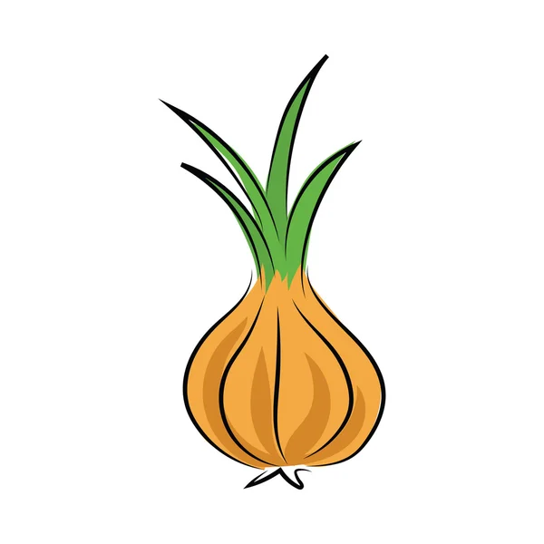 Garlic Sketchy Colored Vector Icon — Stock Vector