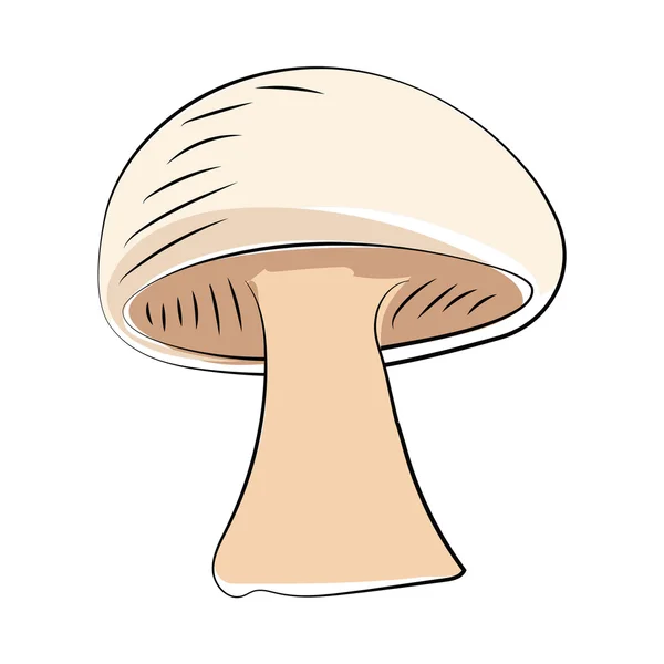 Mushroom Sketchy Colored Vector Icon — Stock Vector