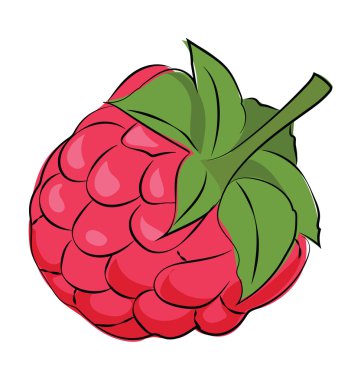 Ahududu renkli yarım yamalak vektör simgesi