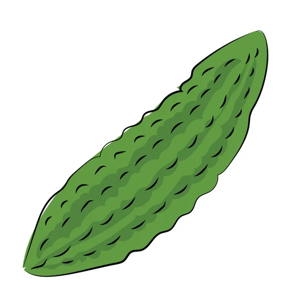 Bitter gourd icon | Bitter gourd, Gourds, Bitter