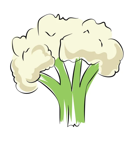 Blumenkohl Hand gezeichnet skizzenhafte Vektor-Symbol — Stockvektor