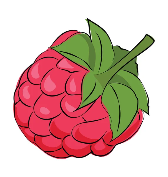 Raspberry gekleurde schetsmatig Vector Icon — Stockvector