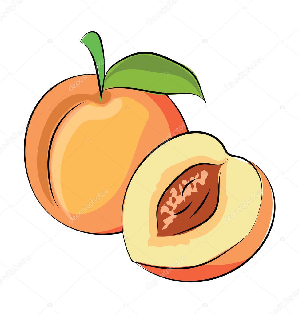 Peach Hand Drawn Sketchy Vector Icon