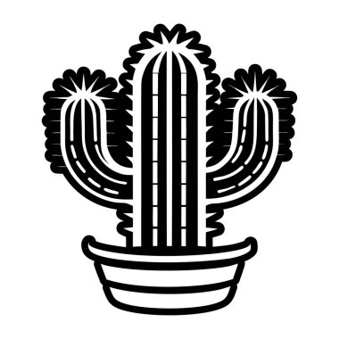 Meksika ikonlu kaktüs bitkisi