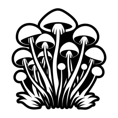 Mantarların vektör çizimi