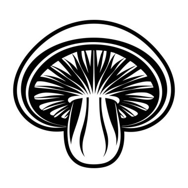 Mantarın vektör çizimi