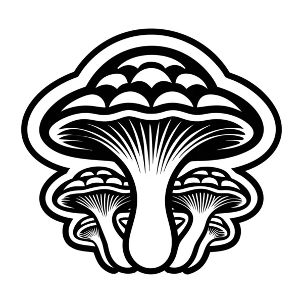 Mantarlar. Mantar, mantar, mantar, mantar, mantar. Ormandaki mantarlar