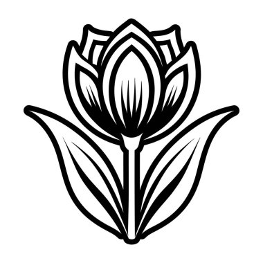 güzel lotus çiçeği, illüstrasyon, vektör