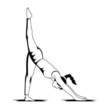 Vektör çizimi. Yoganın aralıksız bir çizimi