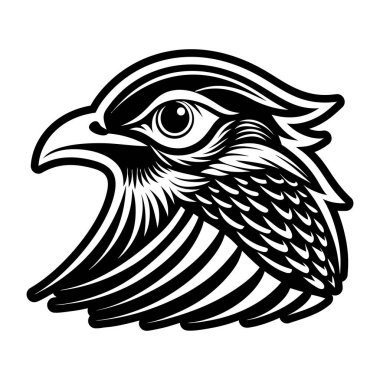 kuşun vektör illüstrasyonu