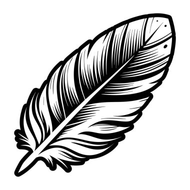 Tüy mürekkep kalem skeci. vektör siyah ve beyaz tüy