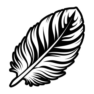 Bir tüy için vektör illüstrasyonu