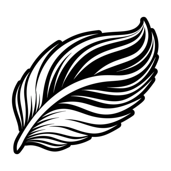 Siyah tüy beyaz arkaplan vektör resimlemesinde izole edildi