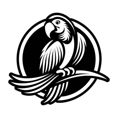 Papağan kuş vektör logo şablonu