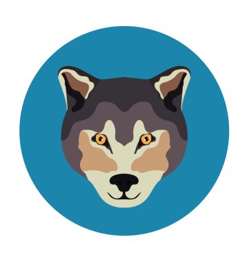 Kurt yüzü vektör çizim renkli