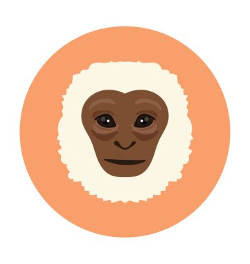 Babun düz simge tasarlamak