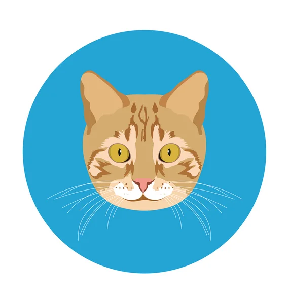 Cat Flat Icon Illustration — Stock Vector