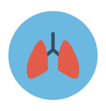 Akciğerler renkli vektör simgesi