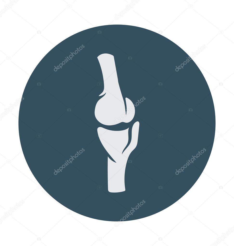 Bone Joints Colored Vector Icon