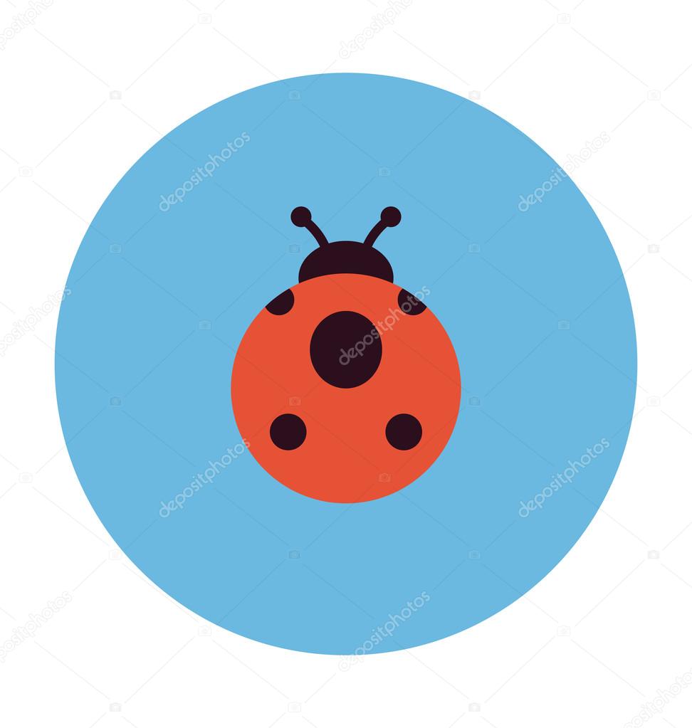 Ladybird Colored Vector Illustration