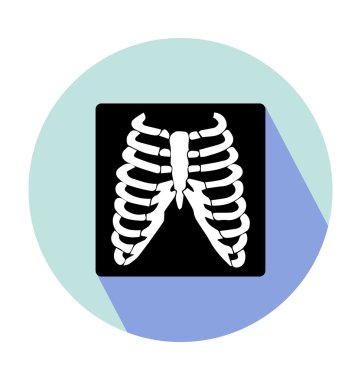 İnsan kaburgaları renkli vektör simgesi