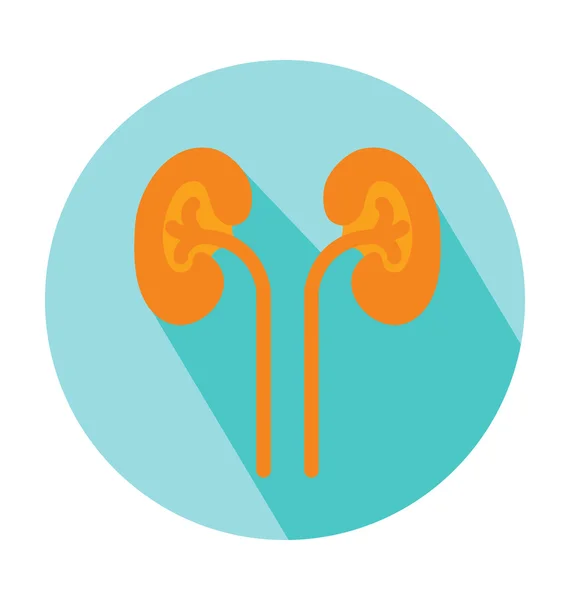 Kidneys Colored Vector Icon — Stock Vector