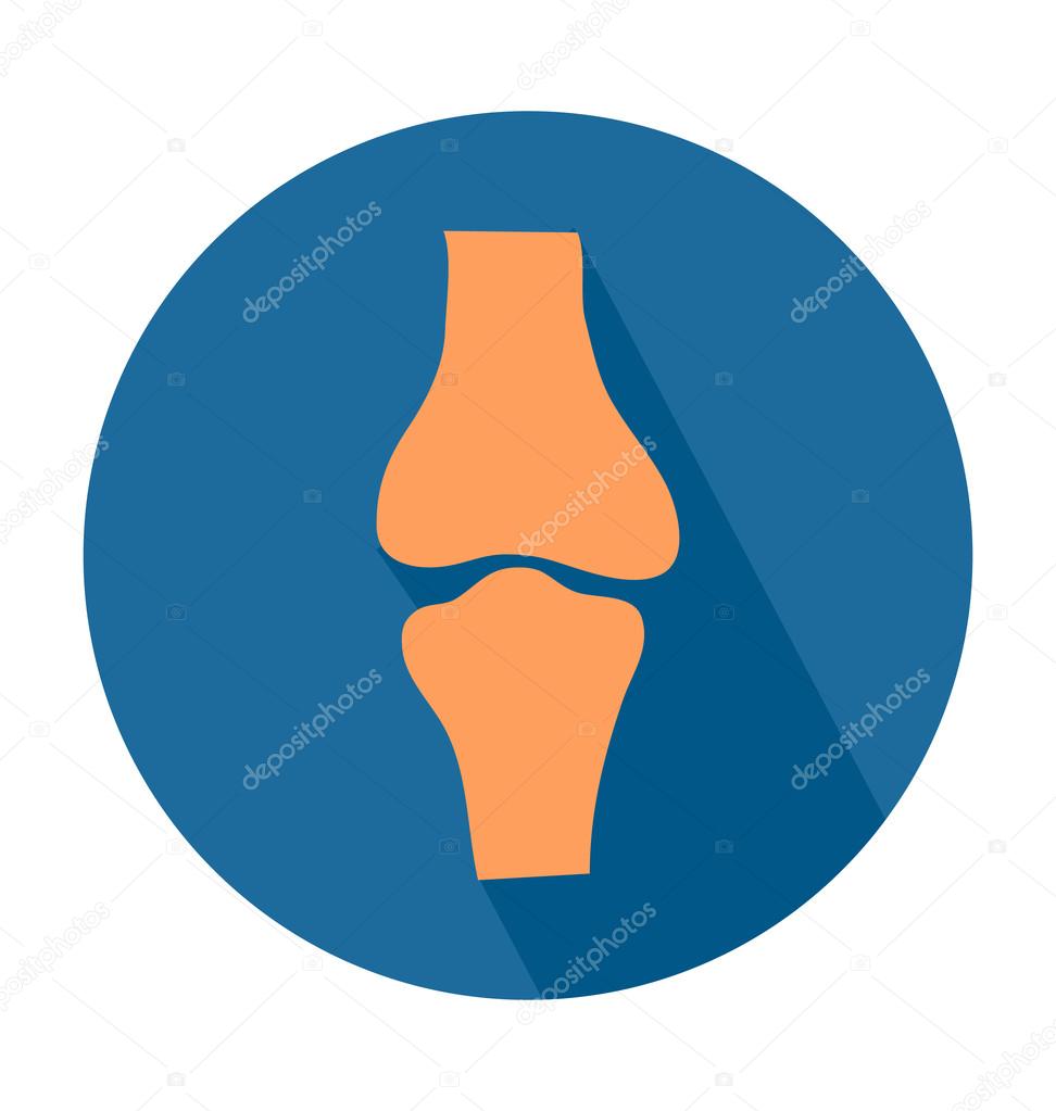 Bone Joints Colored Vector Icon