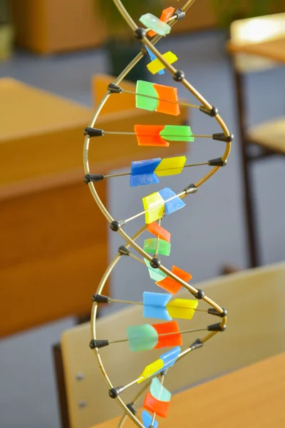 Dna-layout Stockbild