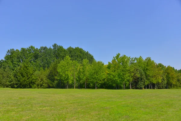 Hermoso paisaje. — Foto de Stock