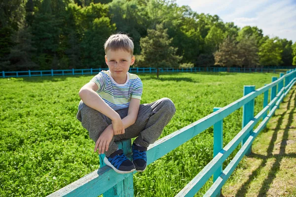 Ein Jähriger Junge Steht Auf Dem Zaun Neben Der Wiese — Stockfoto