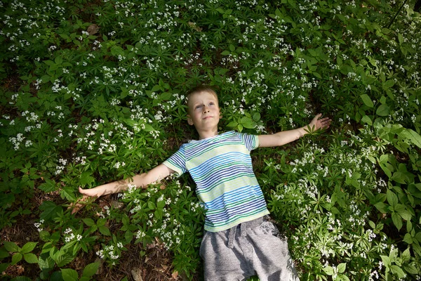Мальчик Лет Лежит Траве Цветами — стоковое фото