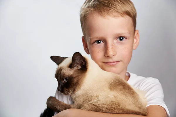 Niño Años Edad Tiernamente Abraza Mascota Siamese Gato —  Fotos de Stock