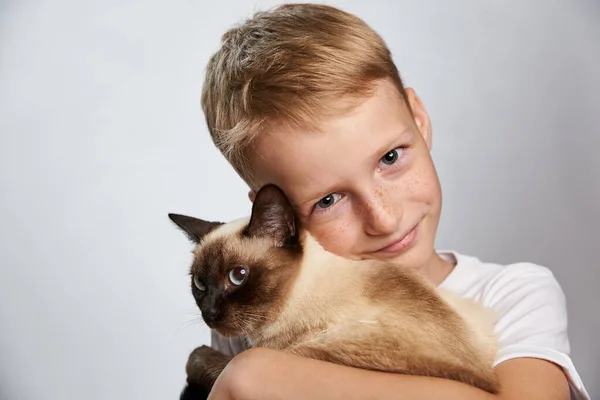 Niño Años Edad Tiernamente Abraza Mascota Siamese Gato —  Fotos de Stock