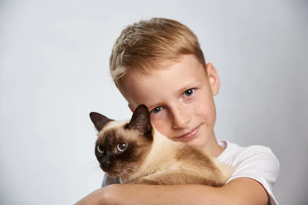 Niño Años Edad Tiernamente Abraza Mascota Siamese Gato —  Fotos de Stock