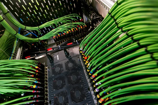 El servidor con el cable de alimentación verde conectado — Foto de Stock