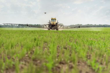 Farm tractor sprays a field toxins from pests, unmanned helicopter takes off process clipart