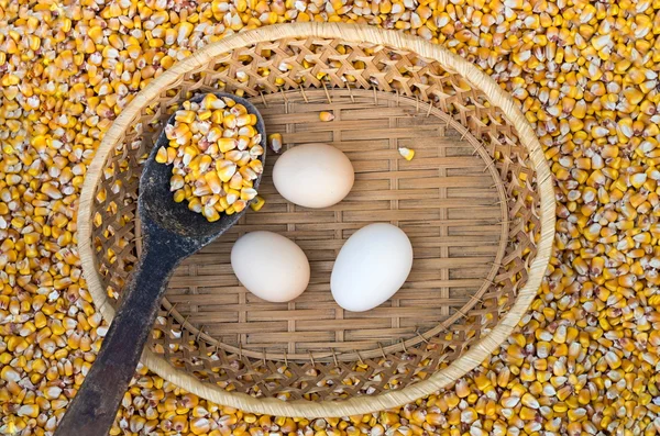 Ingredientes — Fotografia de Stock