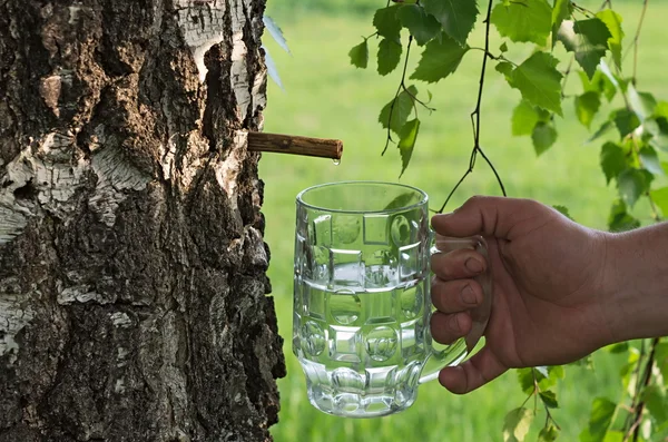 Huş ağacı suyu