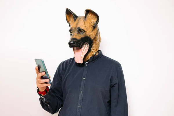 Hombre Disfrazado Con Una Máscara Perro Mirando Teléfono Móvil Sobre — Foto de Stock